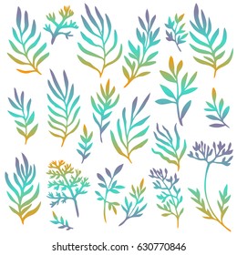 hand drawn color floral elements isolated at white background, doodle twigs and leaves, natural plants, vector illustration