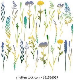 hand drawn color floral elements isolated at white background, doodle twigs and leaves, natural plants, vector illustration
