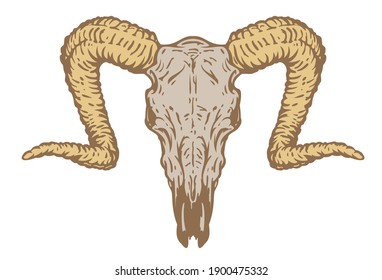 Hand drawn color goat skull isolated on white background. Realistic design art element for print, tattoo. Retro vintage vector illustration.