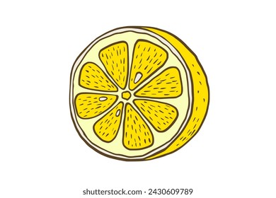 Hand drawn color half lemon. Fruit cut in sketch style, whole fresh citrus. Vector drawing isolated on white