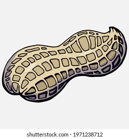 Hand drawn color illustration of peanut in the shell. 
Allergic reaction to peanuts (to nuts). Handwritten graphic technique