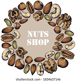 Hand drawn color illustration set of pecan, almond, walnut, hazelnut, pistachio, cashew nuts in a circle. Health products. Nuts shop. Handwritten graphic technique.