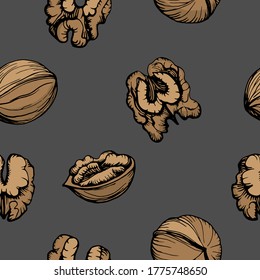 Hand drawn color illustration of a walnut pattern. Kernels of walnuts and shells. Handwritten graphic technique