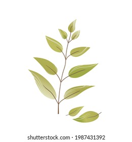 Hand drawn color leaf. Cute isolated element. Modern floral compositions. Tropic brown branches. Vector stock illustration. Clip art for stationery, web design, wallpaper, card.