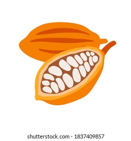 Hand drawn color raw cocoa beans isolated on a white background. Vector illustration.