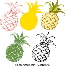 Hand drawn color sketch style set illustrations of  pineapples. Exotic tropical fruit vector drawings and silhouette  isolated on white background.