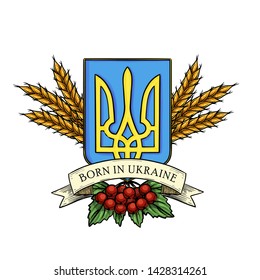 Hand drawn color sketch, Ukrainian national emblem, spikes of wheat, branch of viburnum