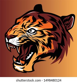 Hand drawn color Tiger face. Tiger T-shirt graphics. Vector color Tiger head illustration.