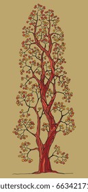 Hand drawn color tree, vector illustration