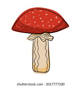Vector de color dibujado mano mosca agaric.