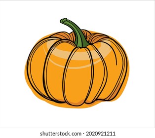 Hand drawn color vector round pumpkin.