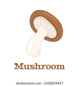 Hand drawn color vector white mushroom on a white background