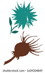 Hand drawn color vector wild flowers