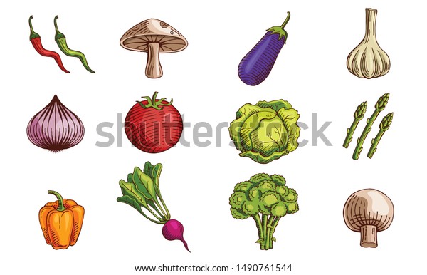 Hand Drawn Color Vegetables Set Drawing 스톡 벡터(로열티 프리) 1490761544