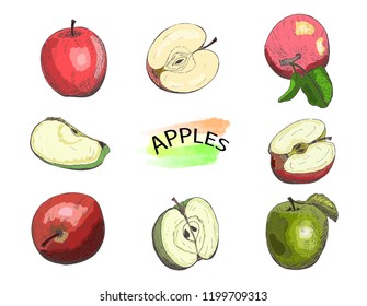 Hand drawn colored apples set isolated on white background.Vintage food sketch, engraved style vector illustration.
