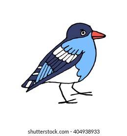 Hand drawn colored bird on a white background. Vector illustration