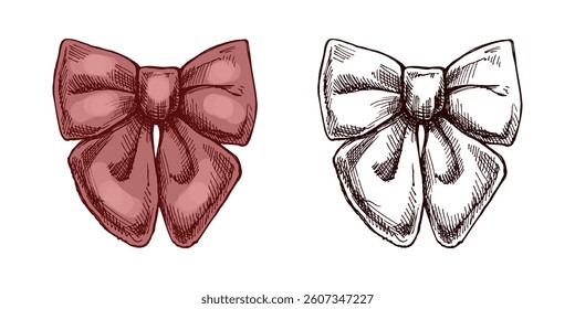 Hand drawn colored and black vintage sketch of a decorative bow with ribbons