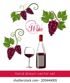 Hand drawn colored bottle of wine, glass and grape brunches. Vector illustration.