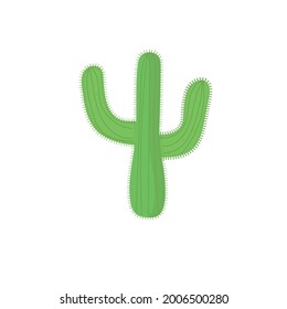 Hand drawn colored cactus with green barbs.
Vector illustration isolated on white background