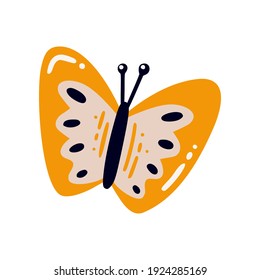 Hand drawn colored cartoon flying moth. Beautiful butterfly isolated on white background. Colorful flat vector illustration