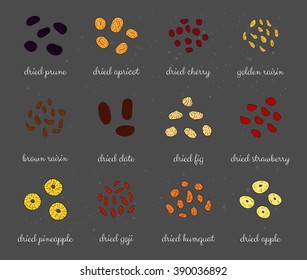 Hand drawn colored detailed sun dried fruits. Healthy nutritive food. Raisin, cherry, strawberry, goji, apricot, prune, apple, pineapple, date, fig, kumquat.