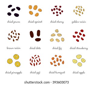 Hand drawn colored detailed sun dried fruits. Healthy nutritive food. Raisin, cherry, strawberry, goji, apricot, prune, apple, pineapple, date, fig, kumquat.