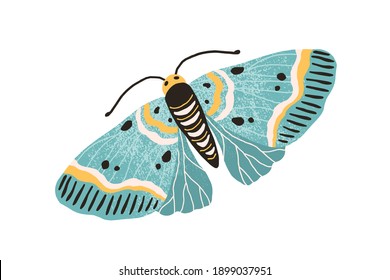 Hand drawn colored elegant flying moth. Gorgeous and beautiful butterfly with pastel wings and antennae isolated on white background. Colorful flat textured vector illustration