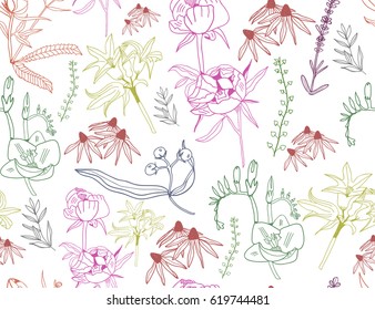Hand drawn colored flowers. Graphic vector seamless pattern
