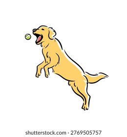 Hand Drawn Colored Golden Retriever Dog Jumping and Catching Ball Vector Illustration