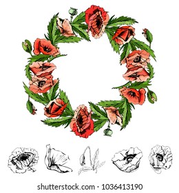 Hand drawn colored and graphic sketch with wreath of poppy flowers isolated on white background. Decorative composition. Vector illustration.