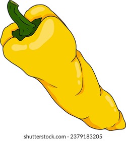 Hand drawn colored illustration of different types of pepper. Bell sweet peppers, paprika. Vegetables painted on white background. Vector sketch food.