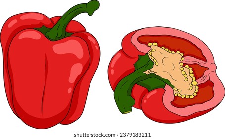 Ilustración coloreada a mano de diferentes tipos de pimienta. Pelucas dulces, paprika. Verduras pintadas de fondo blanco. Comida de boceto vectorial.