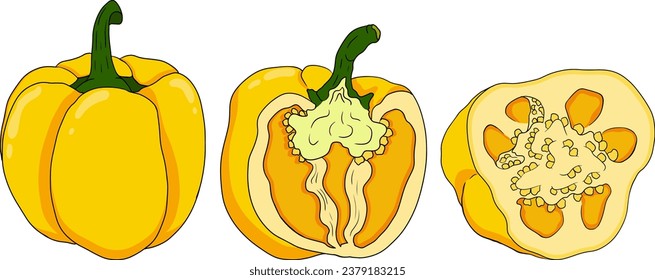 Ilustración coloreada a mano de diferentes tipos de pimienta. Pelucas dulces, paprika. Verduras pintadas de fondo blanco. Comida de boceto vectorial.