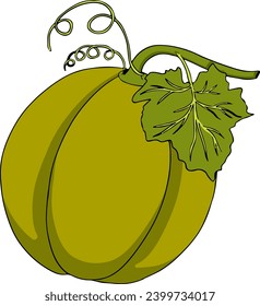 Ilustración coloreada a mano del melón. Comida botánica, ilustración vectorial. 