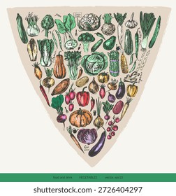 Conjunto de bocetos de vegetales de tinta de colores dibujados a mano. Tomate, pepino, pimiento morrón, calabacín, calabaza, mantequilla, calabaza, maíz, cebolla, rábano, papa, espárragos, alcachofa, repollo, colirrábano. Para el fondo de la comida, menú vegetariano, etiquetas, tarjetas de la receta.