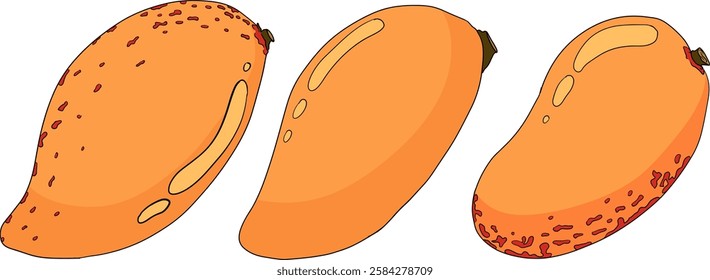 Hand drawn colored mango. Tropical fruit vector illustration. Botanical vintage objects	