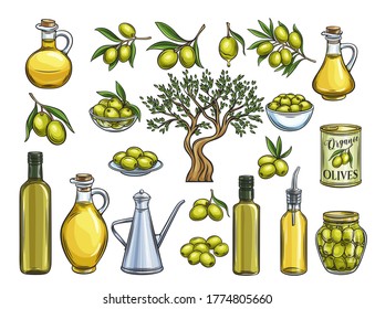 Hand drawn colored olives, tree branches, glass bottle, jug , metal dispenser and olive oil. Vector illustration outline in retro sketch style.