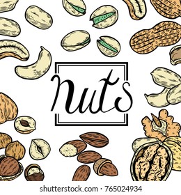 Hand drawn colored Organic Nuts food shop vector template packaging food, menu label, banner poster identity, branding. 