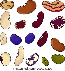 Hand drawn colored Pods and beans for your design.