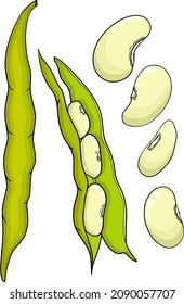 Pods y frijoles coloreados dibujados a mano para tu diseño.