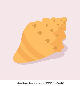 ilustración de ornamento de conchas marinas de color dibujadas a mano