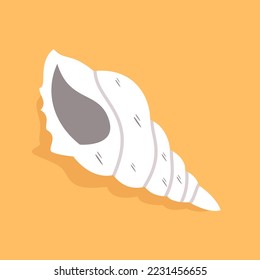 hand drawn colored sea shells ornament illustration