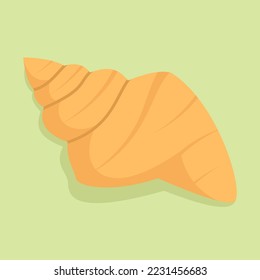 hand drawn colored sea shells ornament illustration