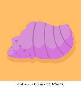 hand drawn colored sea shells ornament illustration