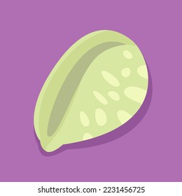 hand drawn colored sea shells ornament illustration