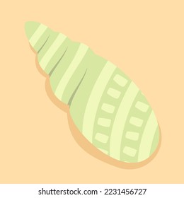 hand drawn colored sea shells ornament illustration