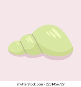hand drawn colored sea shells ornament illustration