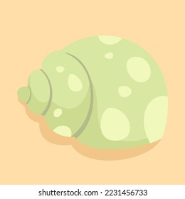 hand drawn colored sea shells ornament illustration