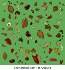 Hand drawn colored set of different kinds of nuts isolated on green. Postcard, textile, thematic production. Food industry.