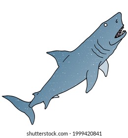 hand drawn colored shark illustrations in doodle style